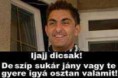 /album/kepgaleria-riposzt-kepek/a1426359-671061826267767-1365541073-n-jpg1/