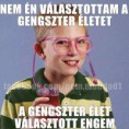 /album/kepgaleria-riposzt-kepek/a1451965-670552519652031-525309024-n-jpg1/