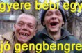 /album/kepgaleria-riposzt-kepek/a1546226-706196612753636-651344181-n-jpg1/