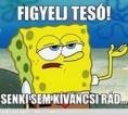 /album/kepgaleria-riposzt-kepek/a1549547-645527712172984-1541953809-n-jpg1/